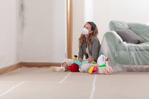 Reliable Mold Remediation contractor in Germantown, IL by 24 Hour Mold Removal